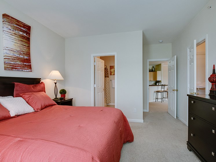 Large Bedroom Closets